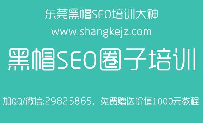 长沙seo seo技巧 seo优化方案 / seo国平-cn域名现在开放个人注册了